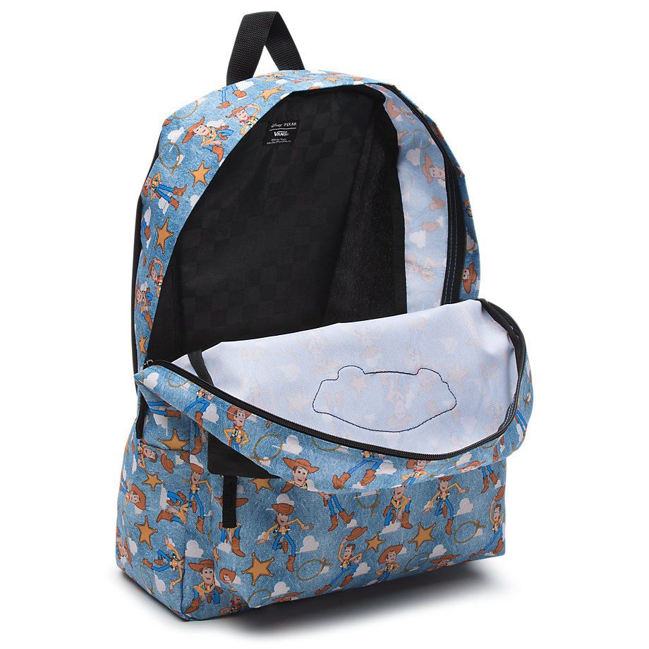 Vans Toy Story Woody 2 890