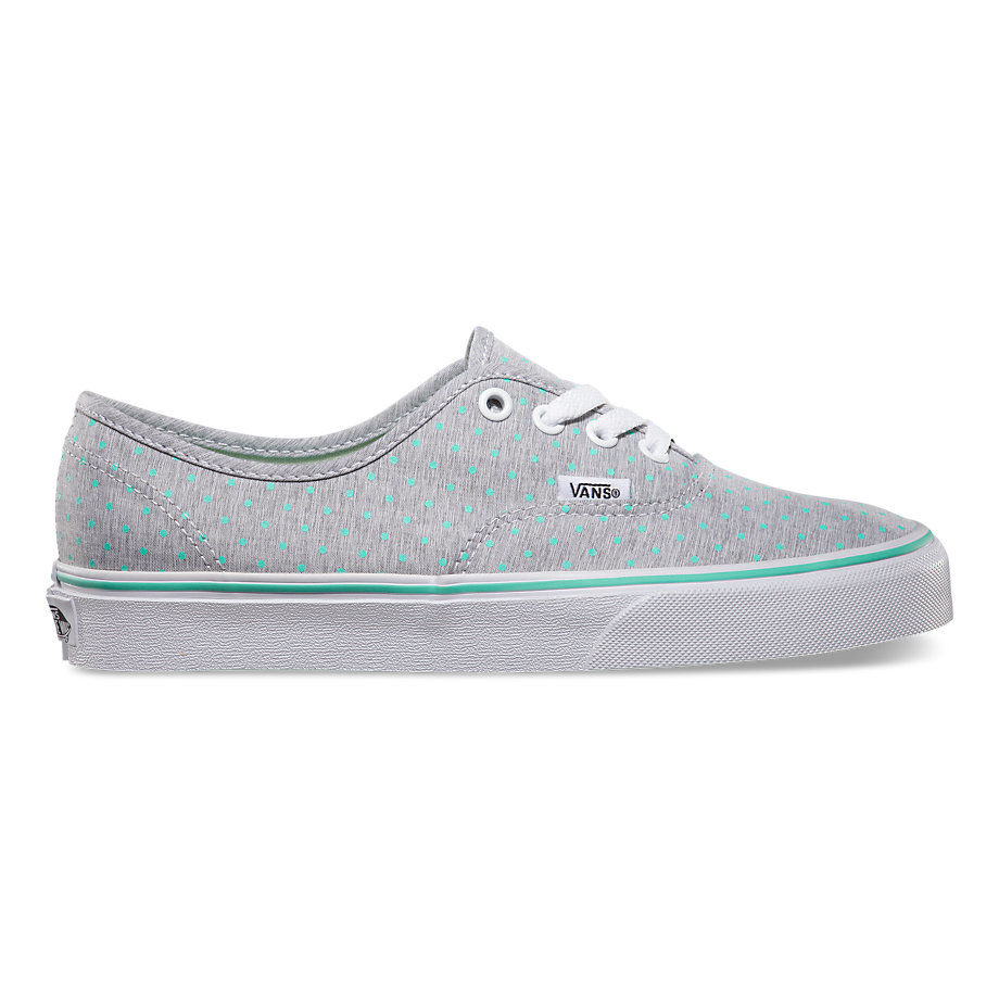 Vans authentic 2025 chambray